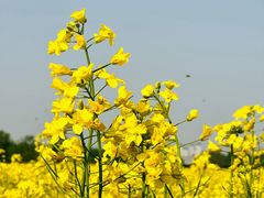 -汉长安城未央宫国家考古遗址公园