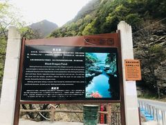 -黑河国家森林公园