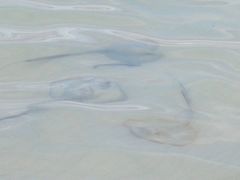 -环滩岛