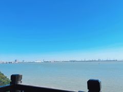 -大湾区中央湿地公园