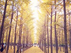 -汉景帝阳陵博物院