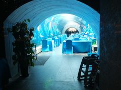 -海棠湾洲际-涛·海底餐厅·美人鱼·自助餐·海底隧道