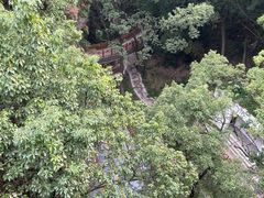 -南山植物园