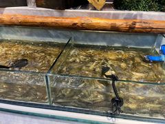 -川骄海鲜自助(河东店)