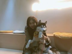 -Husky Go! 哈士奇体验馆·宠物咖啡厅狗咖