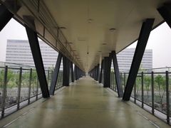 -首都医科大学附属北京天坛医院