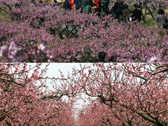 -常德桃花源景区