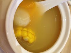 -锦粤宫·精致粤菜(深圳北站店)