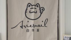 -白羊座美学