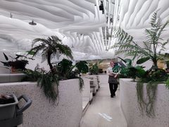-大树餐厅(大悦城店)