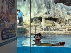 -帝企鹅自助餐厅•儿童岛•真企鹅(长隆企鹅酒店)