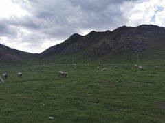 -青海湖国家重点风景名胜区