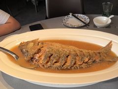 -阿庄新豫菜(通泰路店)