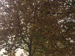 -济南国际园博园