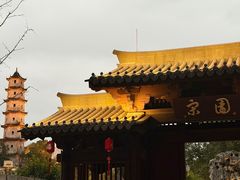 -江心屿景区