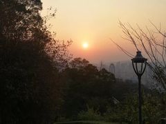 -金鸡山公园