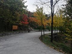 -北京鹫峰国家森林公园