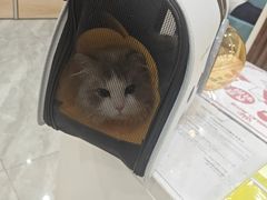 -德元·美联众合24小时动物医院(总院)