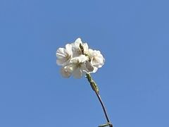 -山东省千佛山医院