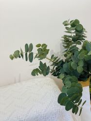 -SixOne六一日式美甲美睫