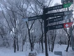 -中旅松花湖滑雪场