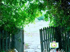 -大自然农场蔬菜草莓采摘园