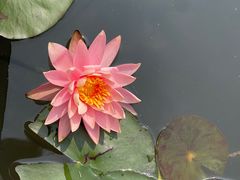 -星巴克(深圳前海企业公馆店)