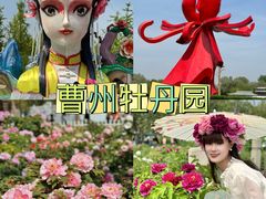 -曹州牡丹园