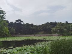 -承德避暑山庄景区