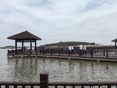 -南大港湿地风景区