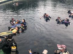 -瑞德姆美人鱼海底演艺主题餐厅(亚龙湾店)