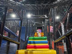 -VFSC极限蹦床主题公园(乐园道彩悦城阳光店)