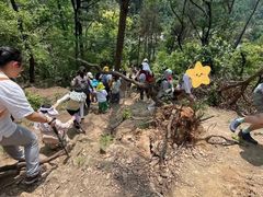 -青龙山国家森林公园