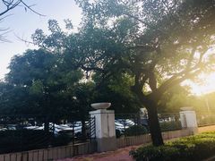 门面-福建省奥林匹克体育中心-体育馆