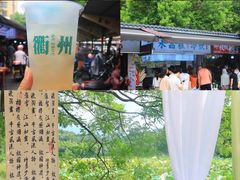 -清漾毛氏文化村