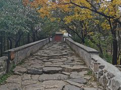 -阳台山自然风景区
