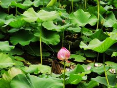 -3W咖啡(国家软件园店)