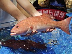 -喜宴又一村·粤菜·茶点·海鲜(壹方天地店)