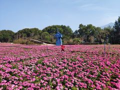 -广州市流溪河国家森林公园