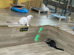 -万达广场(广阳店)