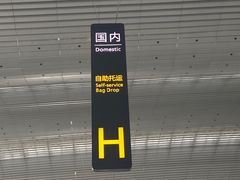 -广州白云国际机场-T2航站楼
