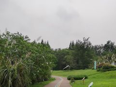 -桤木河湿地公园