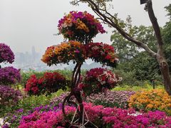 -广州市白云山风景名胜区
