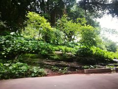 -晓港公园