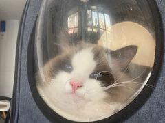 -爱诺耐芙动物医院(万博店)