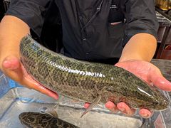 -太二酸菜鱼(石家庄万象城店)