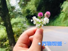 -昆明滇池国家级风景名胜区西山景区