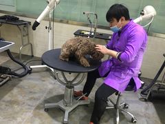 -暖阳宠物医院·犬猫康复中心·骨科