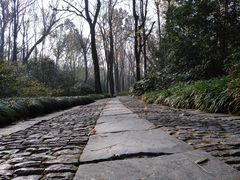 -紫金山天文台