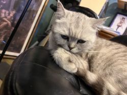 -729CLUB美式风格纹身店